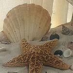 ACCESSORIES: Bringing the beach inside in a jar