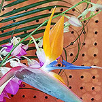 ACCESSORIES: Orchids and birds of paradise arrangement