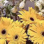 ARRANGEMENTS: Grocery store flowers looking fancy