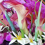 ARRANGEMENTS: tropical flowers, ikebana style