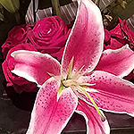 ARRANGEMENTS: A modern take on roses and lilies 